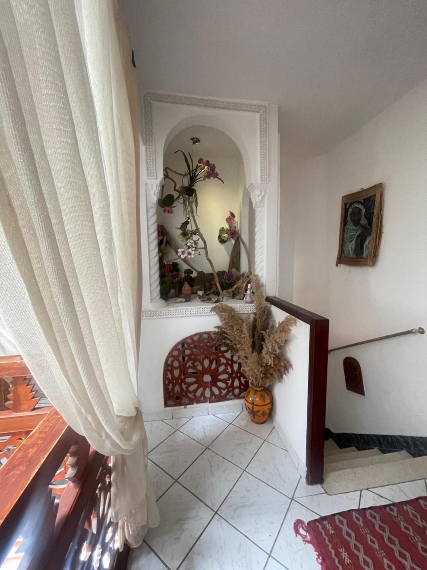 Séjour chez l'habitant Palmier Fleurit *