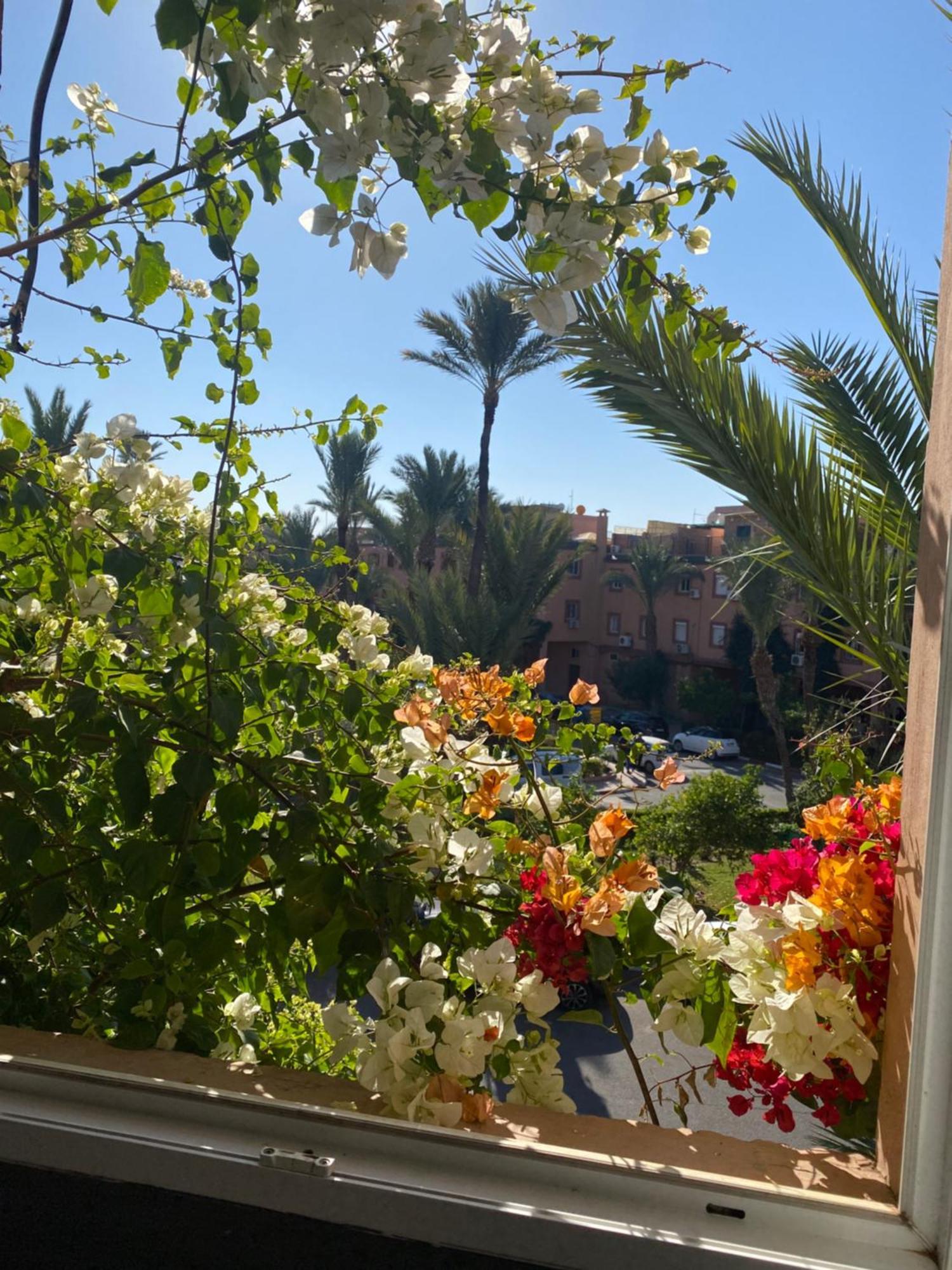 Séjour chez l'habitant Palmier Fleurit